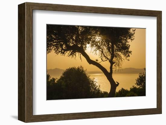 Lake Ichkeul, National Park of Ichkeul, Bizerte Province, Tunisia, North Africa-Nico Tondini-Framed Photographic Print