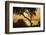 Lake Ichkeul, National Park of Ichkeul, Bizerte Province, Tunisia, North Africa-Nico Tondini-Framed Photographic Print