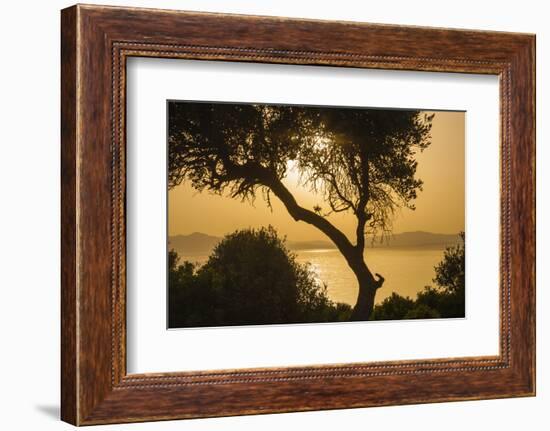 Lake Ichkeul, National Park of Ichkeul, Bizerte Province, Tunisia, North Africa-Nico Tondini-Framed Photographic Print