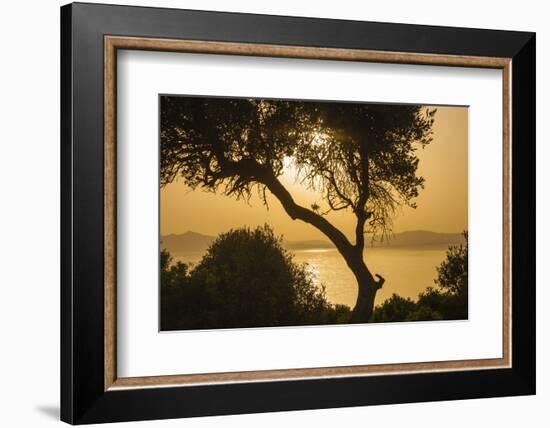 Lake Ichkeul, National Park of Ichkeul, Bizerte Province, Tunisia, North Africa-Nico Tondini-Framed Photographic Print