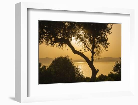 Lake Ichkeul, National Park of Ichkeul, Bizerte Province, Tunisia, North Africa-Nico Tondini-Framed Photographic Print