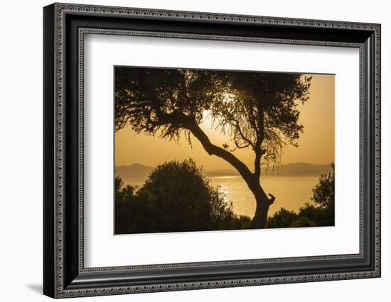 Lake Ichkeul, National Park of Ichkeul, Bizerte Province, Tunisia, North Africa-Nico Tondini-Framed Photographic Print