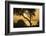 Lake Ichkeul, National Park of Ichkeul, Bizerte Province, Tunisia, North Africa-Nico Tondini-Framed Photographic Print