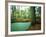 Lake in a Wood-null-Framed Photographic Print