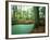 Lake in a Wood-null-Framed Photographic Print
