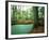 Lake in a Wood-null-Framed Photographic Print