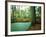 Lake in a Wood-null-Framed Photographic Print
