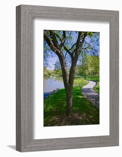 Lake in Central Park in the Spring, New York City, New York-null-Framed Photographic Print