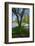 Lake in Central Park in the Spring, New York City, New York-null-Framed Photographic Print