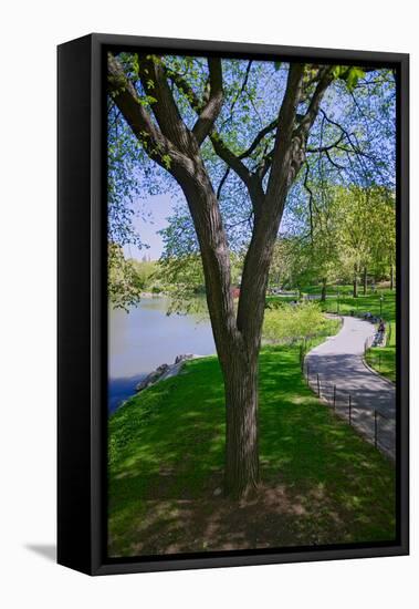 Lake in Central Park in the Spring, New York City, New York-null-Framed Premier Image Canvas