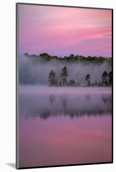Lake in morning mist, Michigan, USA-Sylvain Cordier-Mounted Photographic Print