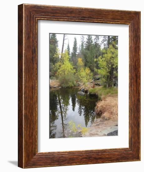 Lake In Sierras-NaxArt-Framed Art Print