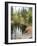 Lake In Sierras-NaxArt-Framed Art Print