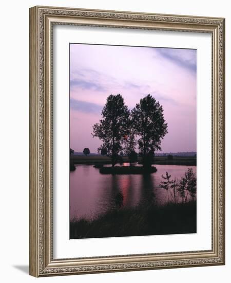 Lake, Island, Trees, Evening Mood-Thonig-Framed Photographic Print