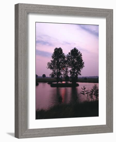 Lake, Island, Trees, Evening Mood-Thonig-Framed Photographic Print