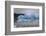 Lake-Level View of Blue Ice at the Glacier Face and Iceberg-Eleanor Scriven-Framed Photographic Print