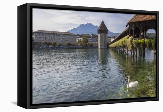 Lake Lucerne, Switzerland. Famous walking bridge and swans in river during the fall season.-Michele Niles-Framed Premier Image Canvas