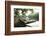 Lake Lure, North Carolina: a Man Goes for a Run Along the Shoreline of Lake Lure-Brad Beck-Framed Photographic Print