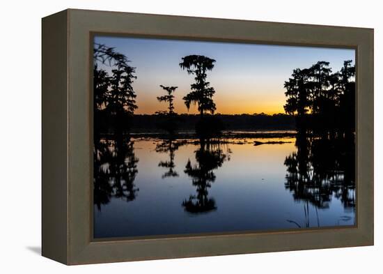 Lake Martin at Sunset with Bald Cypress Sihouette, Louisiana, USA-Alison Jones-Framed Premier Image Canvas