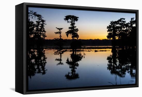 Lake Martin at Sunset with Bald Cypress Sihouette, Louisiana, USA-Alison Jones-Framed Premier Image Canvas