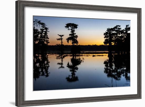 Lake Martin at Sunset with Bald Cypress Sihouette, Louisiana, USA-Alison Jones-Framed Photographic Print