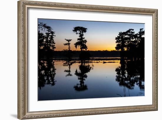 Lake Martin at Sunset with Bald Cypress Sihouette, Louisiana, USA-Alison Jones-Framed Photographic Print