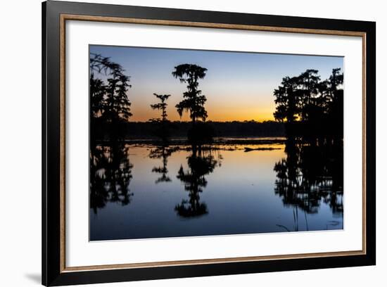 Lake Martin at Sunset with Bald Cypress Sihouette, Louisiana, USA-Alison Jones-Framed Photographic Print