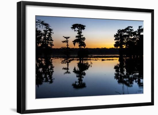 Lake Martin at Sunset with Bald Cypress Sihouette, Louisiana, USA-Alison Jones-Framed Photographic Print