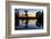 Lake Martin at Sunset with Bald Cypress Sihouette, Louisiana, USA-Alison Jones-Framed Photographic Print