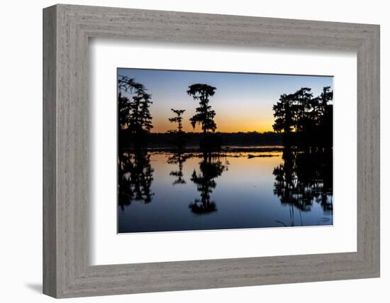 Lake Martin at Sunset with Bald Cypress Sihouette, Louisiana, USA-Alison Jones-Framed Photographic Print