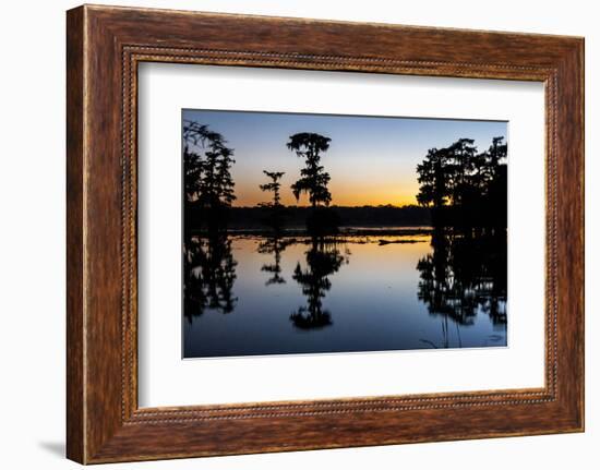 Lake Martin at Sunset with Bald Cypress Sihouette, Louisiana, USA-Alison Jones-Framed Photographic Print