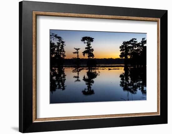 Lake Martin at Sunset with Bald Cypress Sihouette, Louisiana, USA-Alison Jones-Framed Photographic Print