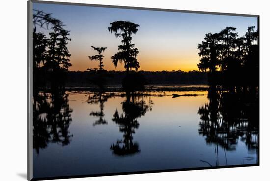 Lake Martin at Sunset with Bald Cypress Sihouette, Louisiana, USA-Alison Jones-Mounted Photographic Print