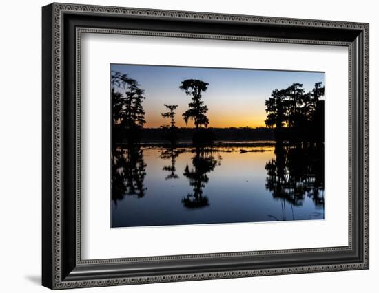 Lake Martin at Sunset with Bald Cypress Sihouette, Louisiana, USA-Alison Jones-Framed Photographic Print