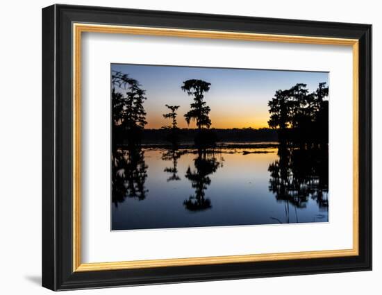 Lake Martin at Sunset with Bald Cypress Sihouette, Louisiana, USA-Alison Jones-Framed Photographic Print