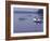 Lake Massabesio Manchester, New Hampshire, USA-null-Framed Premium Photographic Print