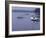 Lake Massabesio Manchester, New Hampshire, USA-null-Framed Premium Photographic Print