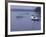 Lake Massabesio Manchester, New Hampshire, USA-null-Framed Photographic Print