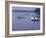 Lake Massabesio Manchester, New Hampshire, USA-null-Framed Photographic Print