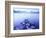 Lake Mcdonald, Glacier National Park, Montana-Walter Bibikow-Framed Photographic Print