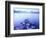 Lake Mcdonald, Glacier National Park, Montana-Walter Bibikow-Framed Photographic Print