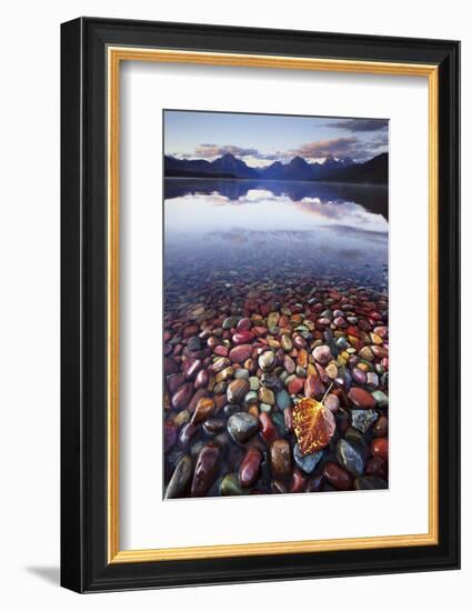 Lake McDonald Glacier National Park-Jason Savage-Framed Art Print