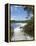 Lake Mckenzie, Fraser Island, Unesco World Heritage Site, Queensland, Australia-Sheila Terry-Framed Premier Image Canvas