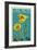 Lake Mead - National Recreation Area - Bear Paw Poppy - Letterpress-Lantern Press-Framed Art Print
