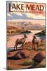 Lake Mead - National Recreation Area - Bighorn Sheep-Lantern Press-Mounted Art Print