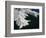 Lake Mead-Ron Chapple-Framed Photographic Print