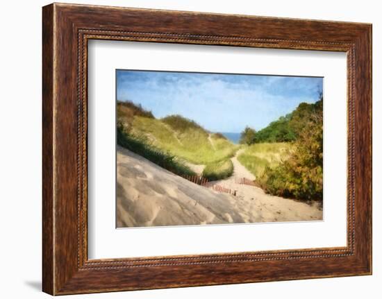 Lake Michigan Coastal Dune Path-Michelle Calkins-Framed Photo