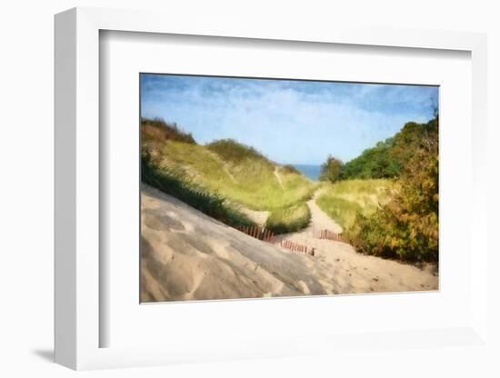 Lake Michigan Coastal Dune Path-Michelle Calkins-Framed Photo