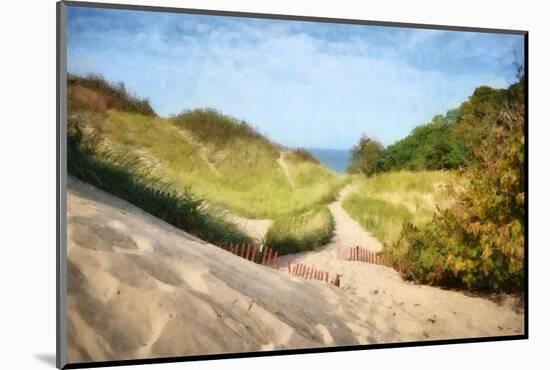 Lake Michigan Coastal Dune Path-Michelle Calkins-Mounted Photo