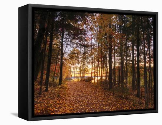 Lake Millinocket at Sunrise, Baxter State Park, Maine, New England, USA, North America-Alan Copson-Framed Premier Image Canvas